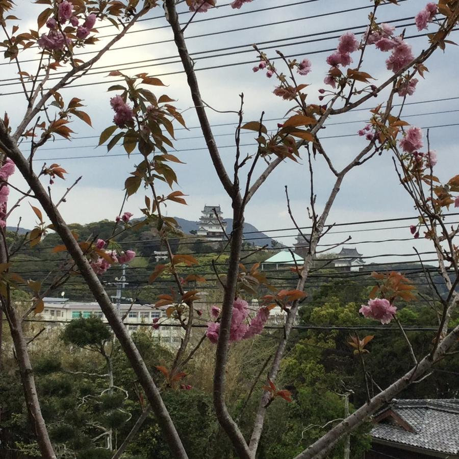 Hotel Saiyo Wakigawa Hirado Экстерьер фото